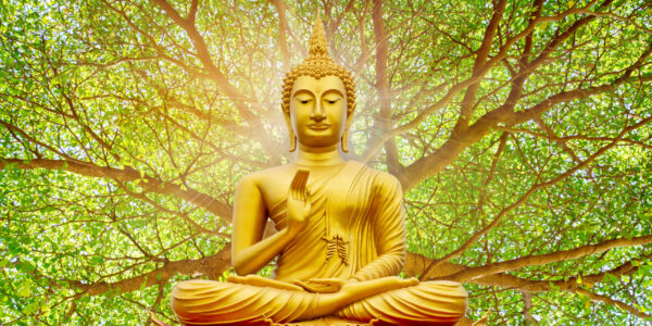 Golden Buddha image under the Bodhi leaf, natural background